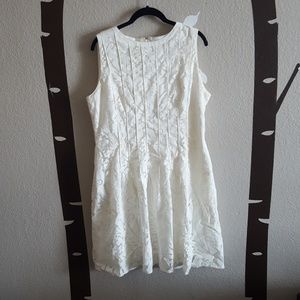 🌵Antonio Melani Ivory Knee Length Lace Dress